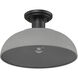 Levitt 1 Light 13.63 inch Natural Black Outdoor Semi-flush in Natural Gray